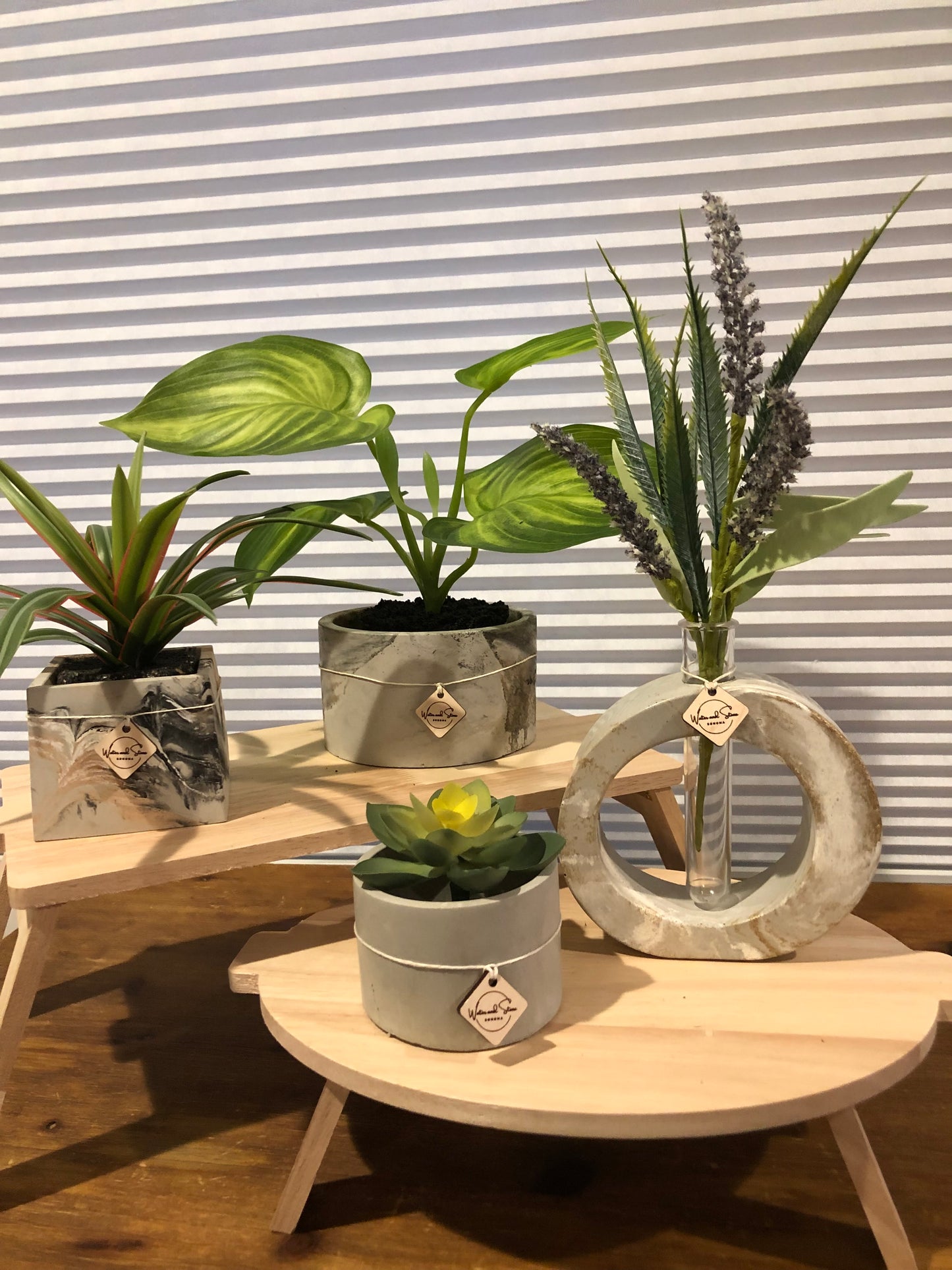 Concrete Propagation Vase