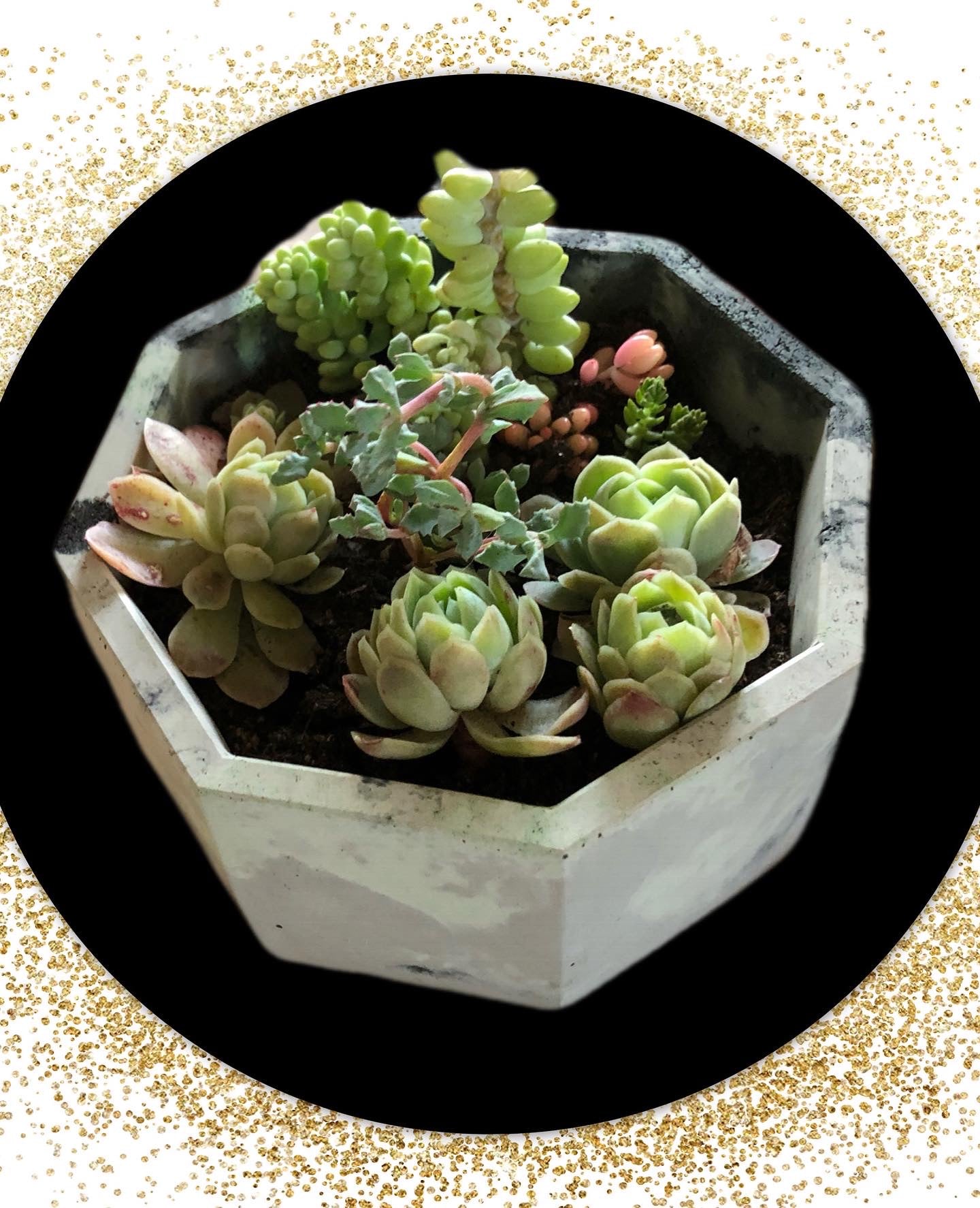 25oz Handcrafted Concrete Octagon Vessel