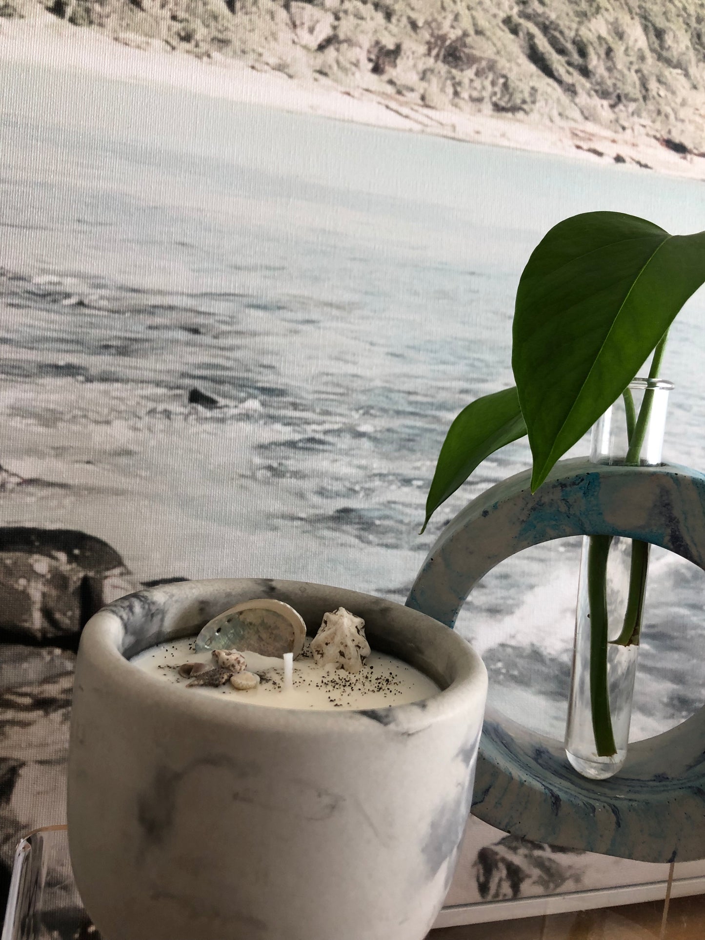 Concrete Propagation Vase