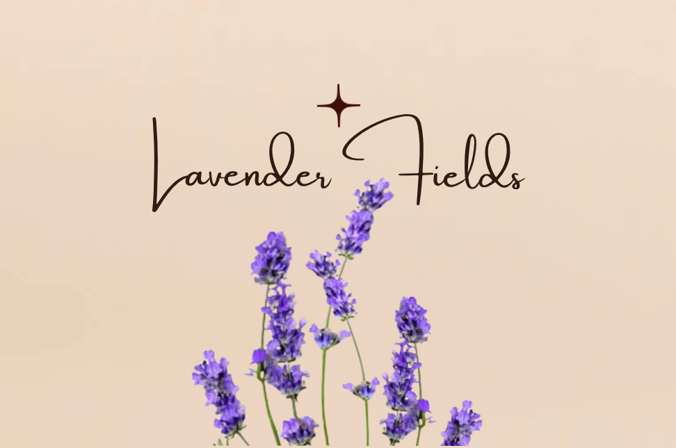LAVENDER FIELDS