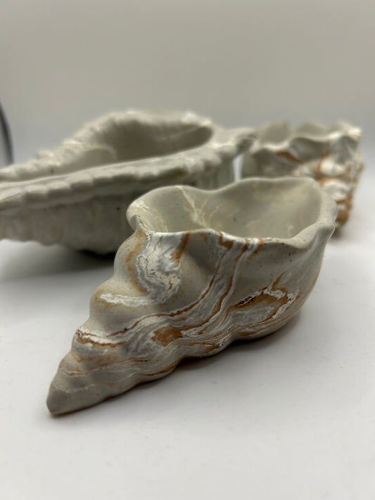 Sonoma Coast Small Conch Shell Vessel