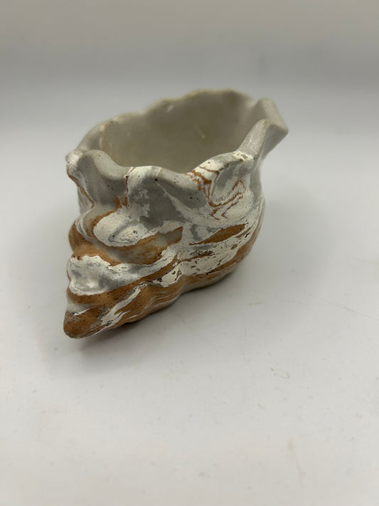 Sonoma Coast Small Open Wide  Shell