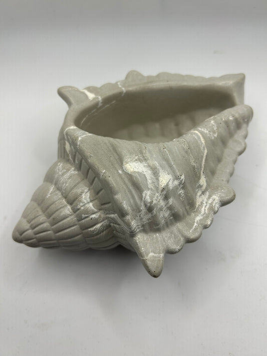 Sonoma Coast Large Conch Shell Vessel