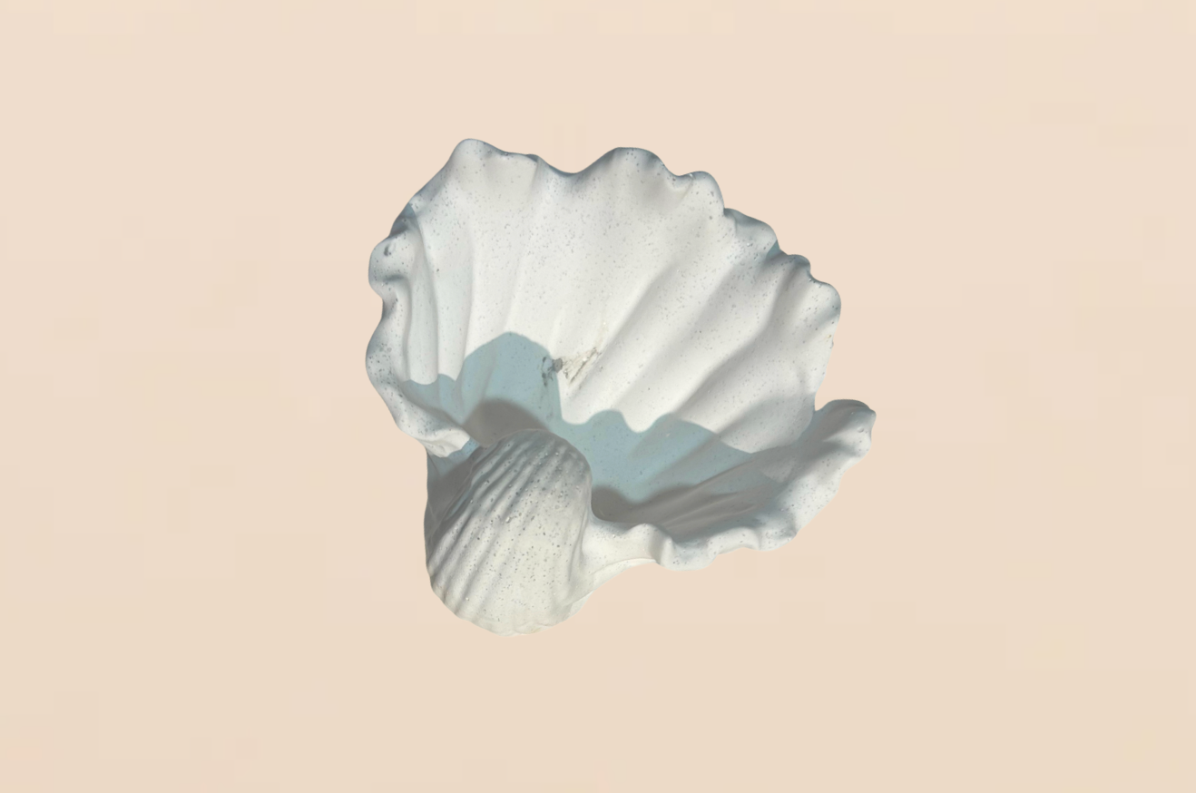 Selene Shell Tray