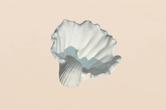 Selene Shell Tray