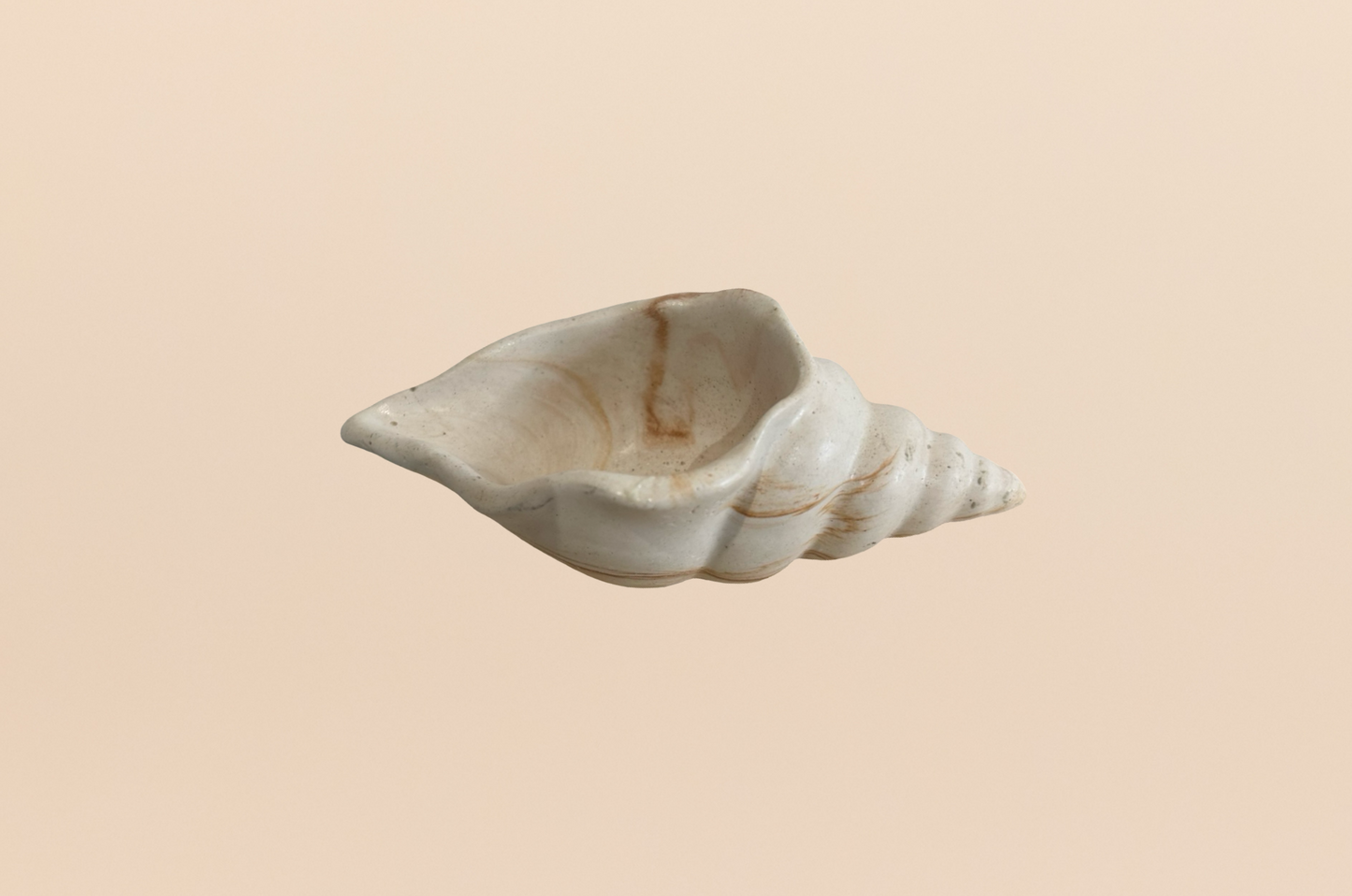 Spiral Shell Tray